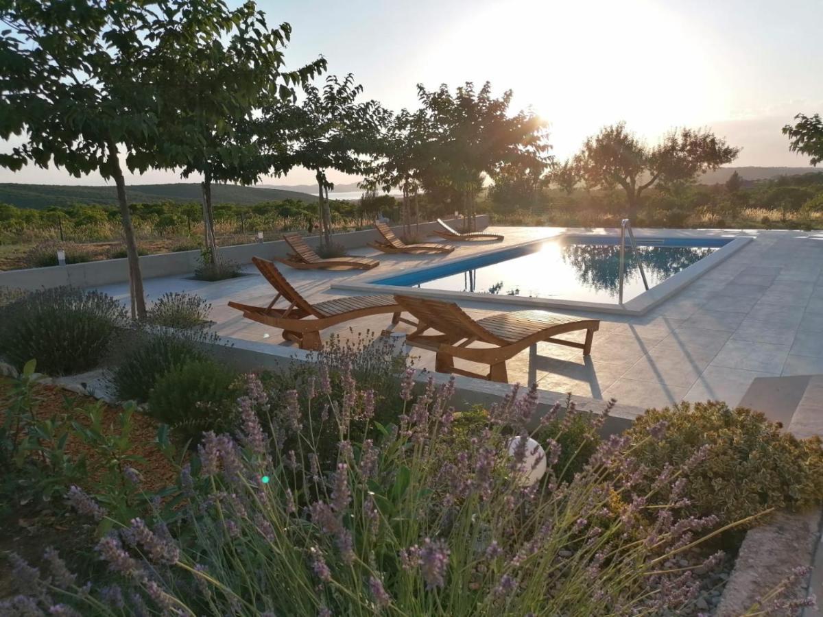 Villa Jelena Zadar Exterior photo