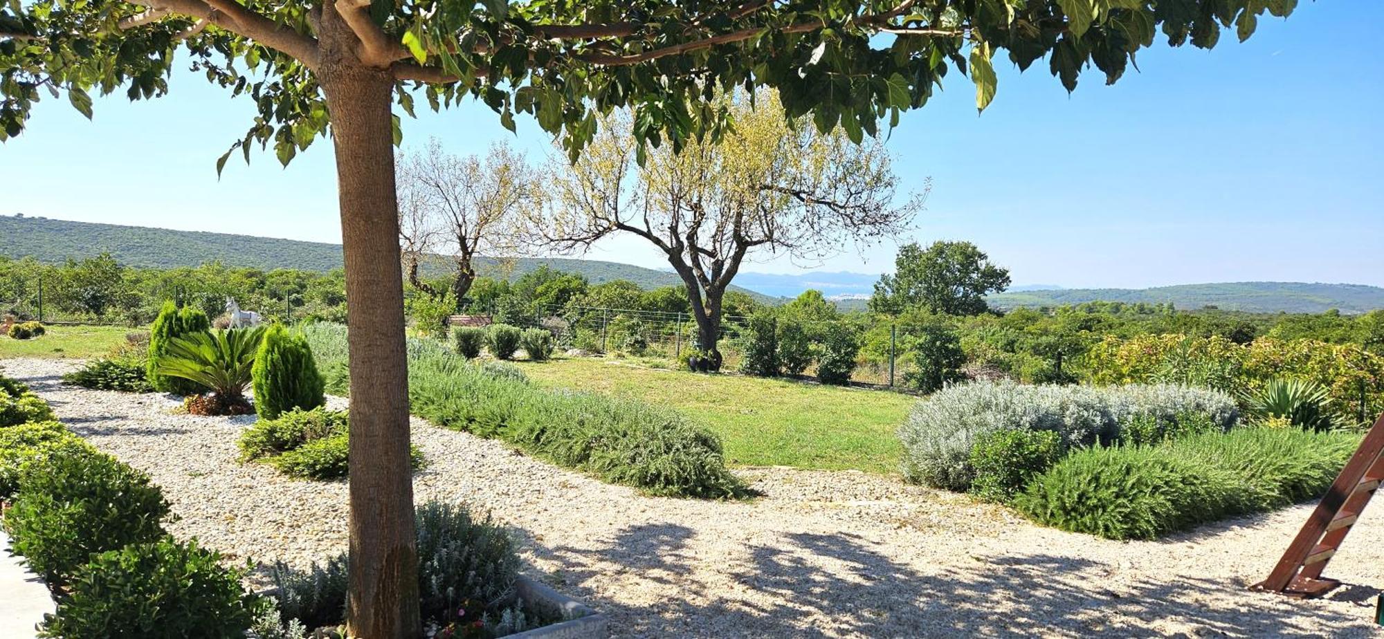 Villa Jelena Zadar Exterior photo